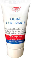 Ceta Sibiu 97% Plant-Based Κρέμα για Επούλωση 50ml Ceta Sibiu 97% Plant-Based Κρέμα για Επούλωση 50ml