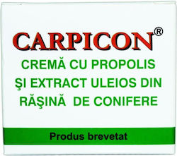 Elzin Plant Propolis Körpercreme 50g Elzin Plant Propolis Körpercreme 50g