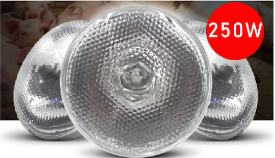 Bongbada Thermolampe Weiß 250 Watt Druckglas Sonstige Viehausrüstung
