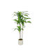 Homcom Artificial Plant Dracaena Green Peva Wood Pot Container Pp Cement 60x40x120 cm 83c-194v00gn