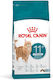 Royal Canin Ageing 11+ Sterilised Trockenfutter für ältere sterilisierte Katzen mit Geflügel 2kg