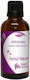 Αγκινάρα Βάμμα Artichoke 50ml Nature & Body