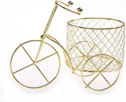 Metallic Bicycle NK327
