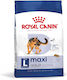 Royal Canin Maxi Adult 12kg Dry Food Gluten-Free for Adult Large Breed Dogs with Poultry and Rice