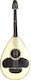 Cretan Lute