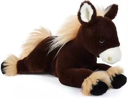 Histoire d'Ours Plush