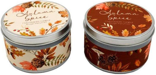 Arti Casa Αρωματικό σε Μεταλλικό Κουτί Κανέλα