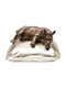 Decor Pentru Masă Sleeping Rhino Auriu Maro 37x32x21cm