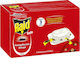 Raid Gel Applicator Gun Gel for Cockroaches 6pcs