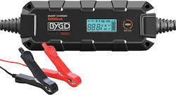 Bygd F6000 Ladegerät & Wartungsgerät für Batterien 6/12V