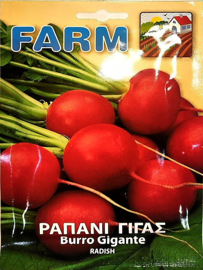 Primasem Σπόροι Ραπανάκι Γίγας Κόκκινο