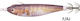 Yamashita Toto Sutte R Squid Jigs 7cm Natural