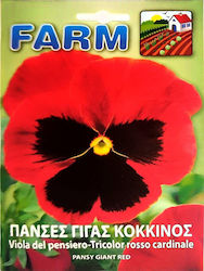 Primasem Seeds Viola Red