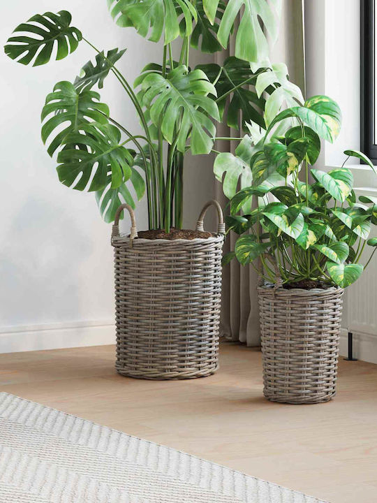 vidaXL Κασπώ Rattan Γκρι 2τμχ