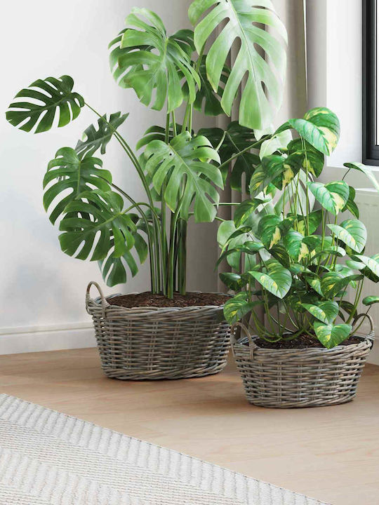 vidaXL Κασπώ Rattan Γκρι 2τμχ