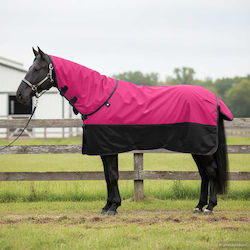 Horse Saddle Pink Black 155 Cm Polyester 42013155 Pink