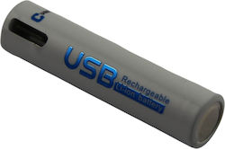 Avizar Aaa Battery Usb-c Charging Port Li-ion 1.5v 600mah 0.9wh Rechargeable White