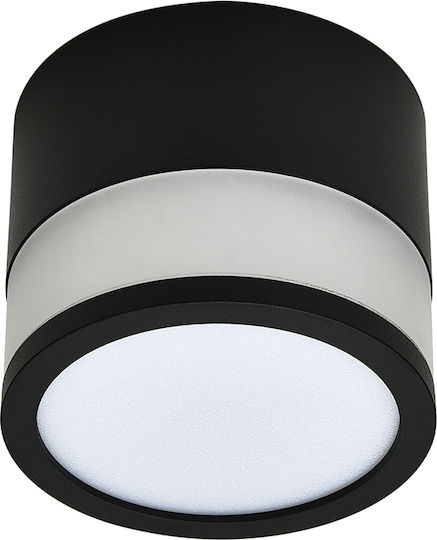 Metanor LED Warm White Spot in White Color
