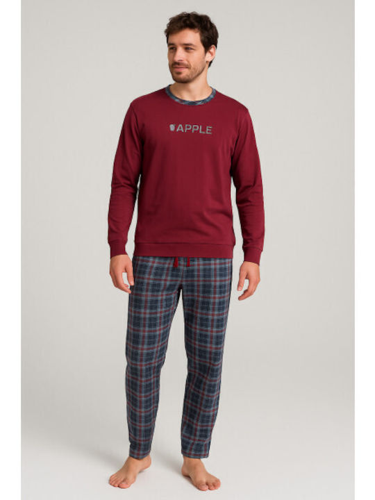 Apple Boxer Bordeaux