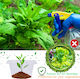 Anti-slug Rings 12 Pieces Ø 24 Cm Pet Plant Protection Transparent