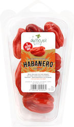 Πιπεριές Habanero Συσκευασμένες Άρωμα (75 gr)
