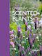 Gardening With Scented Plants Tony Hall