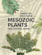 The Princeton Field Guide To Mesozoic Plants Nan Crystal Arens Princeton University Press