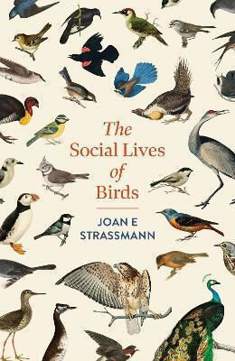 The Social Lives Of Birds: A Must-read For Bird And Nature Lovers Joan E. Strassmann Headline Press