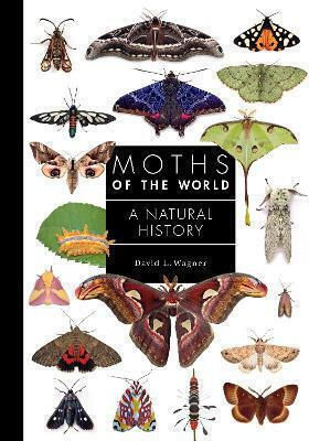 Moths Of The World: A Natural History David L. Wagner Princeton University Press