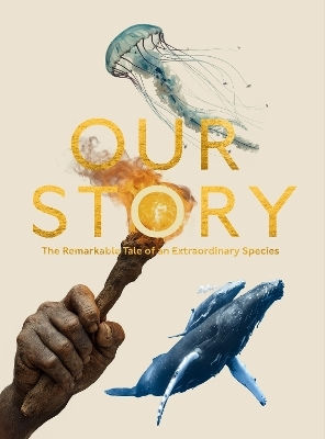 Our Story Jonnie Hughes John Murray Publishers Ltd