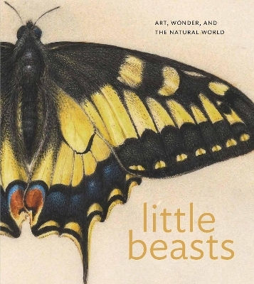 Little Beasts: Art, Wonder, And The Natural World Princeton University Press