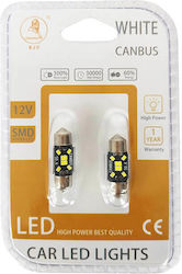 Λάμπες Led Σωληνωτές 31mm 8 Leds 12volt Canbus Λευκό Φως Auto Gs 600484 2 Τεμάχια Λάμπες Led Σωληνωτές 31mm 8 Leds 12volt Canbus Λευκό Φως Auto Gs 600484 2 Τεμάχια