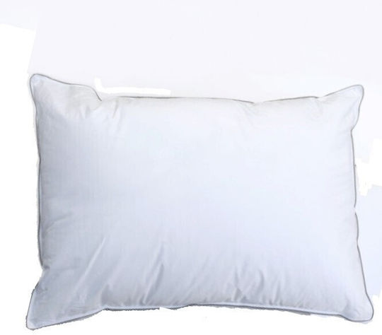Palatex Σιλικόνης 50x70cm