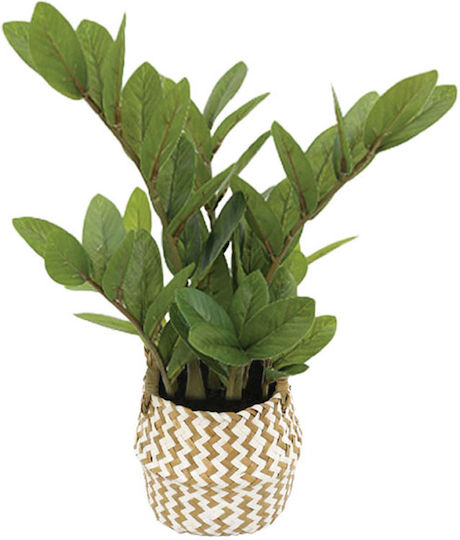 Zamia Real Touch Potted Plant Green Pot Φ25x45cm