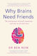 Why Brains Need Friends The Neuroscience Of Social Connection And Why We All Need More Ben Rein Publishing