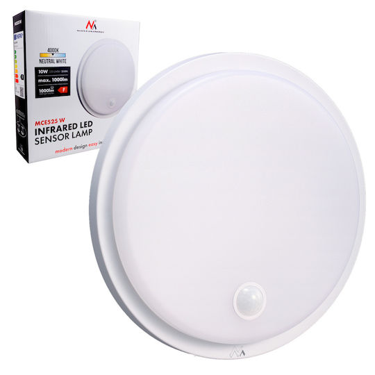 Maclean Energy Lumină de exterior montată pe perete LED IP65 10W