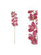 Zweigstelle Orchidee Simbidium Rosa 90cm 12/144Stücke