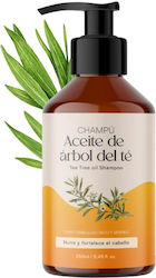 QK Natur Σαμπουάν Όγκου 250ml