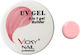 Builder Gel Νυχιών 1 Builder Gel Soft Pink 15gr