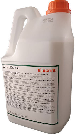 Allegrini Joly Liquido Boot Reinigungsprodukte Glänzend Schutz 5000ml