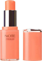 Note Blush S Stick Ρουζ No10 Juicy 8gr