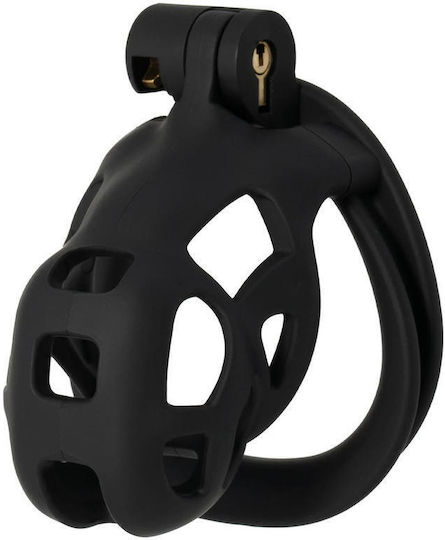 Hidden Desire Penis Cage in Black Color