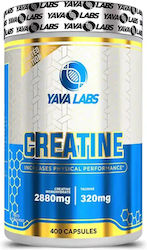 Yava Labs Creatine Monohydrate Yava Labs Creatine Monohydrate