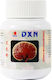 DXN Reishi Gano Powder (RG) 70гр