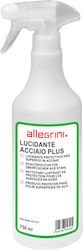 Allegrini Acciaio Professionelles Sprühreiniger 1x750ml