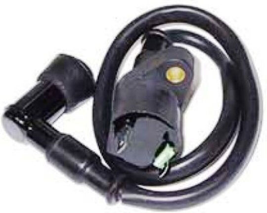 Ignition Coil Piaggio Beverly 125cc-250cc Gy6 Honda Sh 50cc-150cc Roc48300