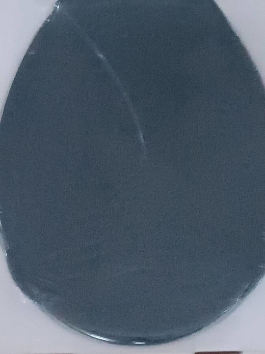Eurocasa Plastic Toilet Seat Gray 43cm