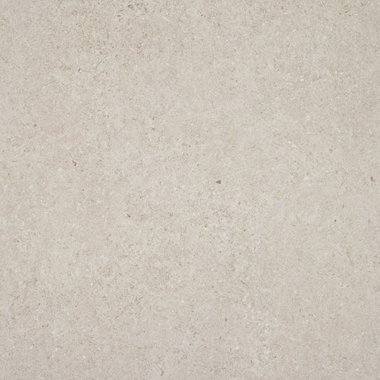 Alaplana Placă Interior Mat 60x60cm Os