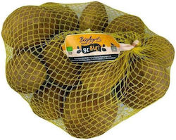 Bio Kartoffeln Griechische (Mindestgewicht 1,65Kg)