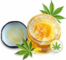 Neuroxtracts Ζελεδάκια με 70% CBD & με 70% CBG 40ml Neuroxtracts Ζελεδάκια με 70% CBD & με 70% CBG 40ml